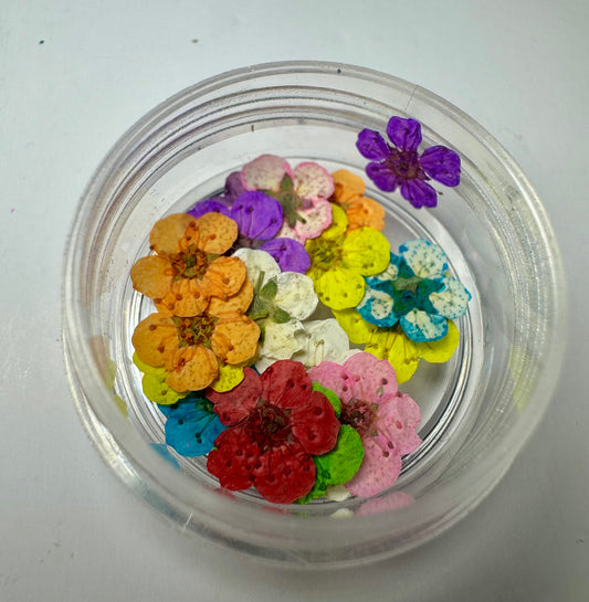 Dired flowers