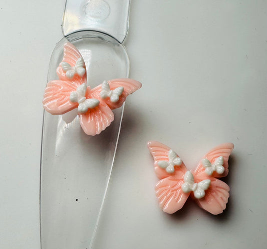 Pink butterfly’s