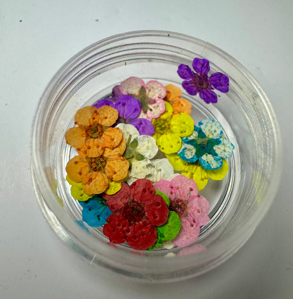 Dired flowers